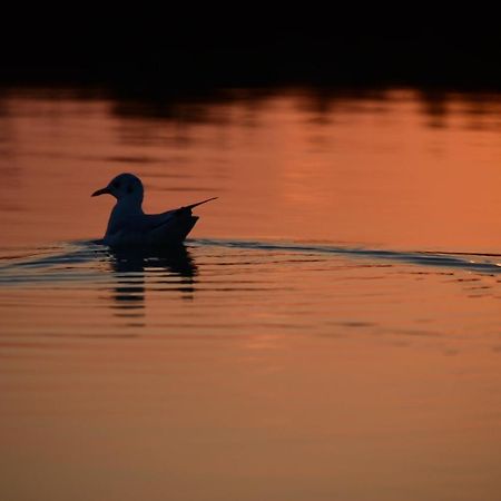 Agriturismo Venice Photobirding Tessera Kültér fotó