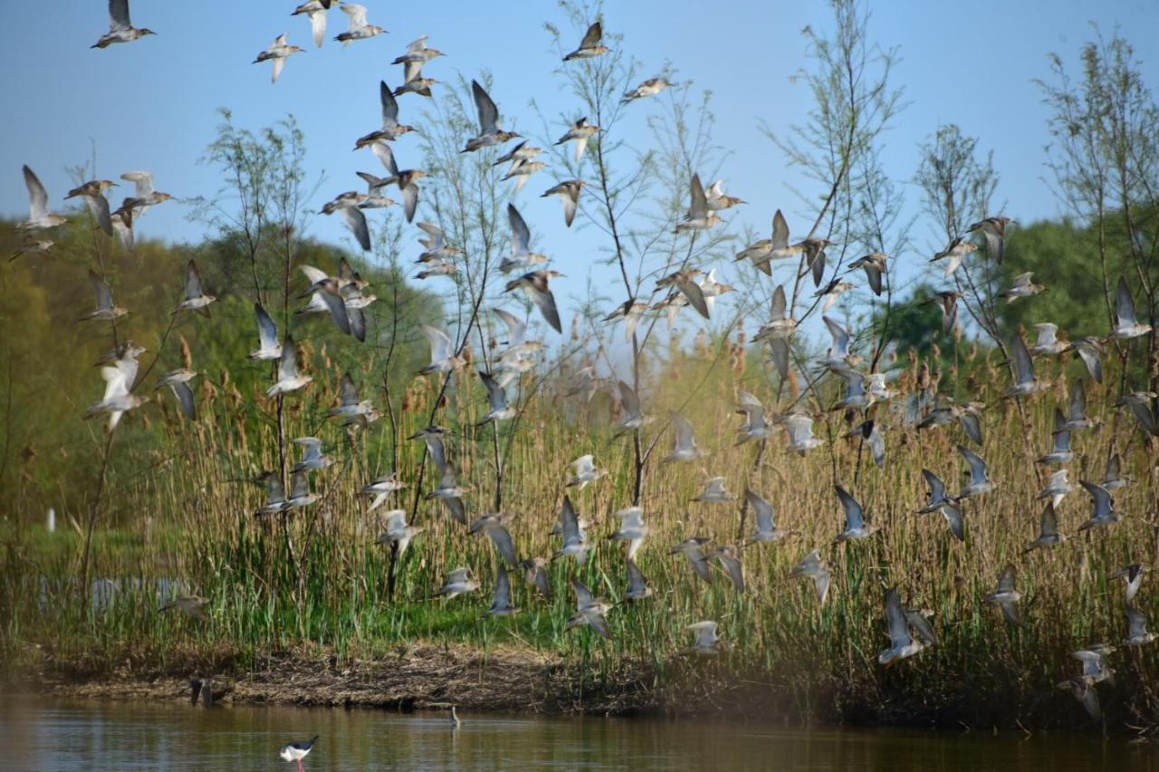 Agriturismo Venice Photobirding Tessera Kültér fotó